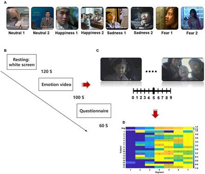 Frontiers | Emotional Brain Network Decoded By Biological Spiking ...